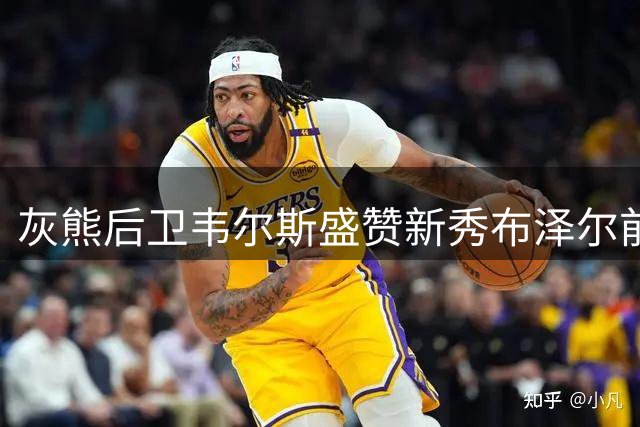 灰熊后卫韦尔斯盛赞新秀布泽尔前途无量